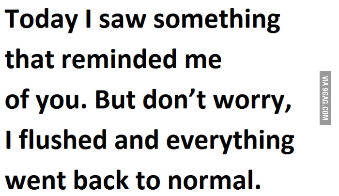 I can see something. It reminds me of. The last time i saw something like you i Flushed it.