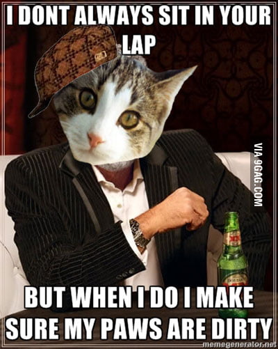 Scumbag cat - 9GAG