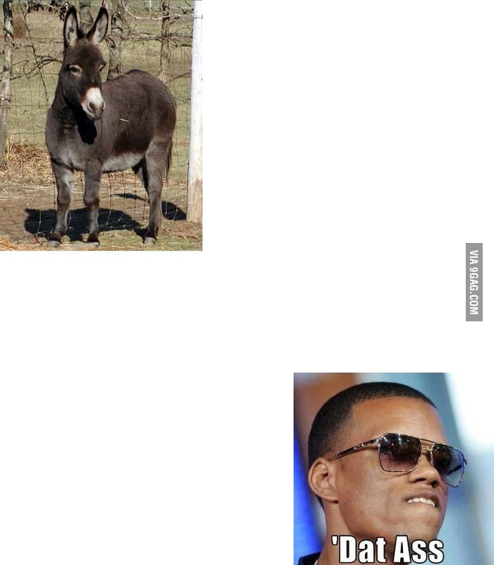 Dat Ass - 9GAG