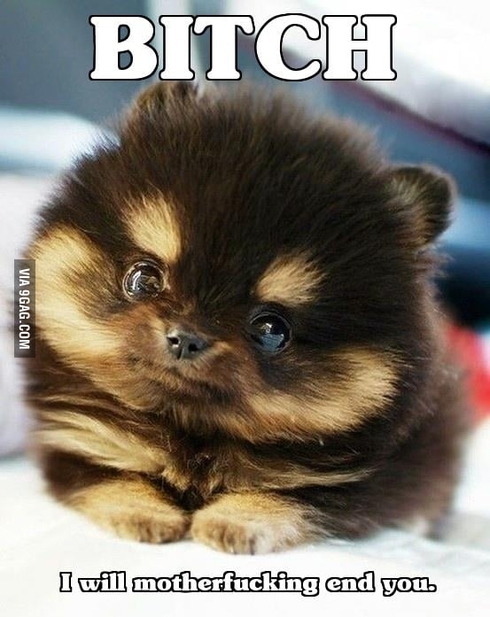 The most adorable abomination... - 9GAG