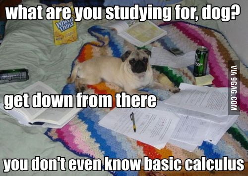 You don't even know basic calculus! - 9GAG