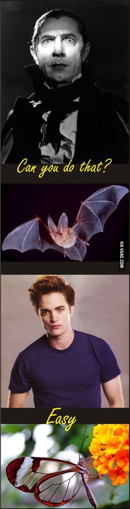 Dracula vs edward cullen essay 07 image