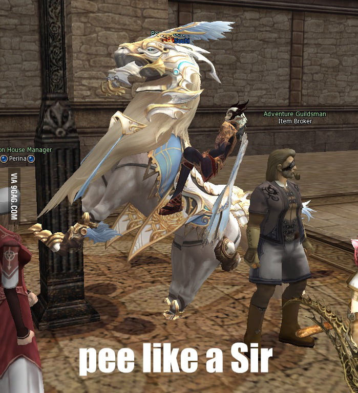 pee-like-a-sir-in-lineage2-9gag