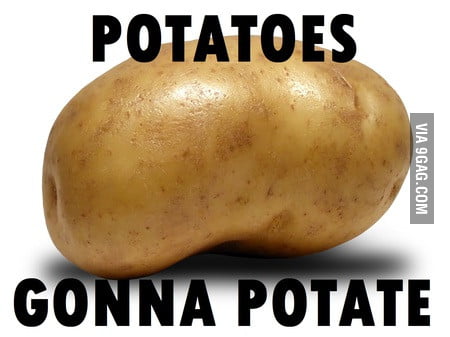 Potatoes gonna potate - 9GAG