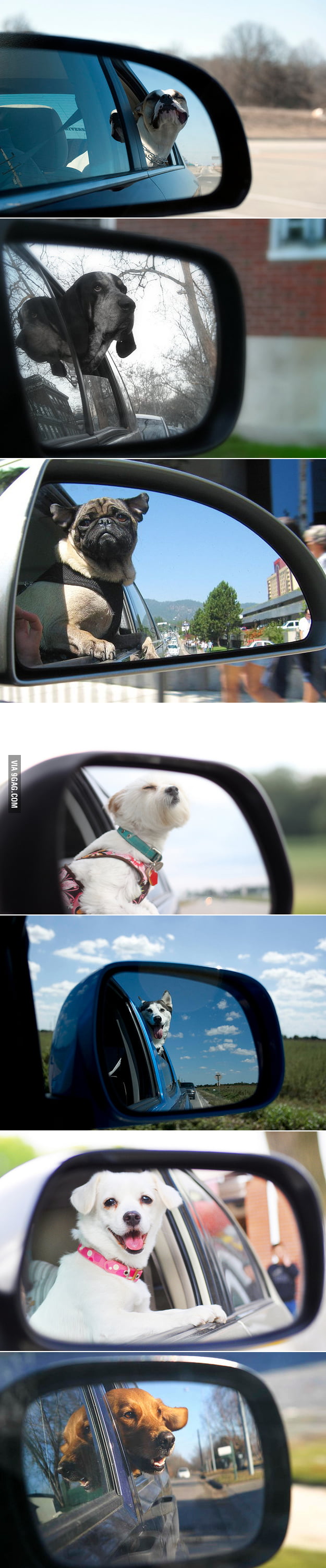 Objects in mirror are closer than they appear на каких машинах