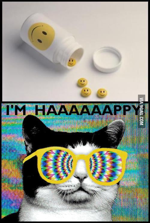 Happy cat - 9GAG
