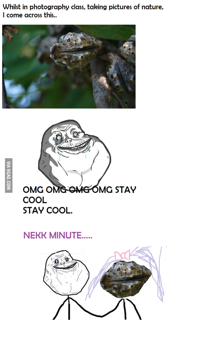 Forever together the cuties! - 9GAG