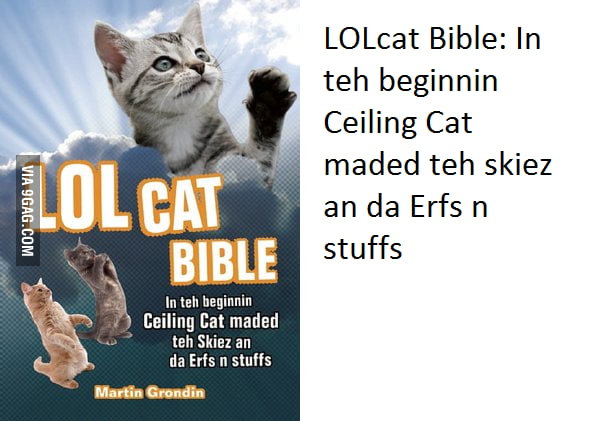 Wtf Cat God Seemslegit And Shit 9gag
