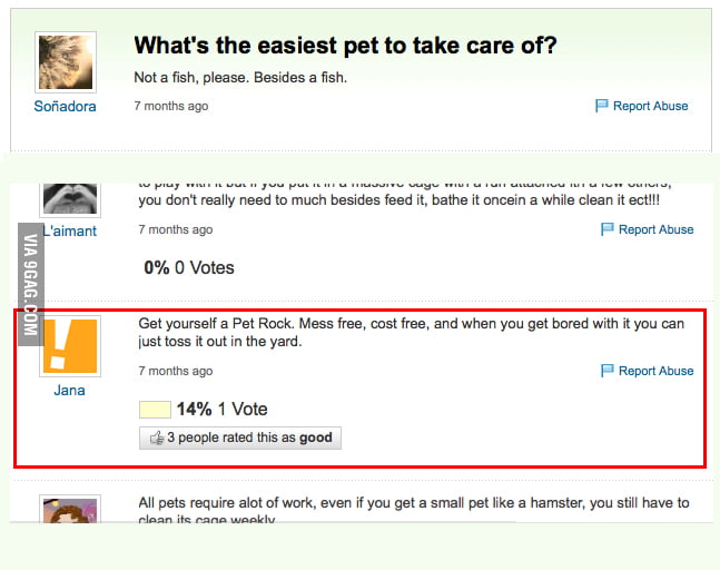 Best Pet You Can Have lvl 1000 9GAG