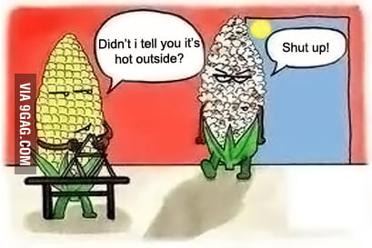 Just a normal day at the farm... - 9GAG