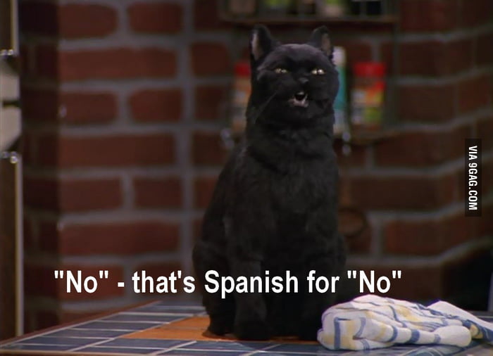 Spanish lessons with salem the cat 9GAG
