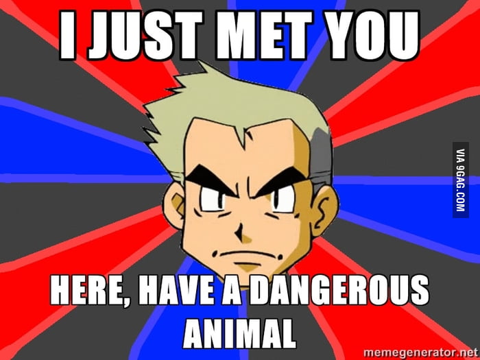 Professor Oak Advice - 9GAG