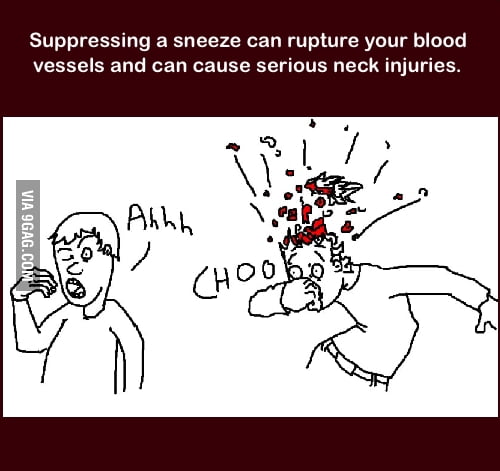 do-not-suppress-a-sneeze-9gag