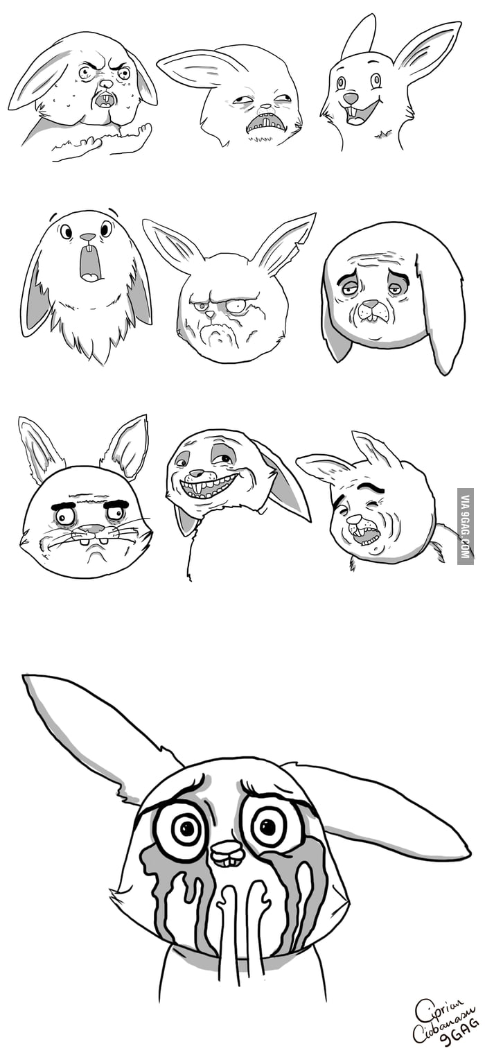 Just some rabbits... - 9GAG