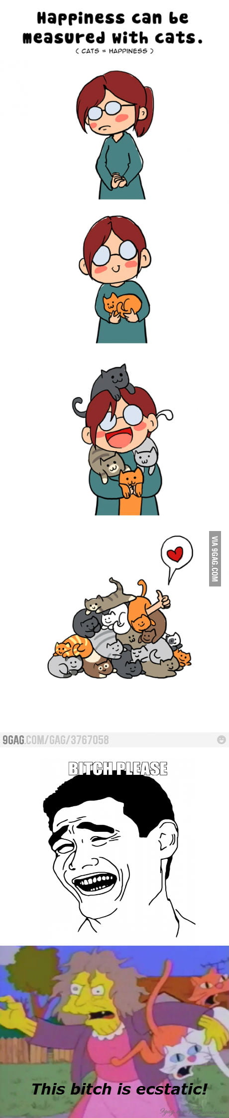 Crazy for cats! - 9GAG