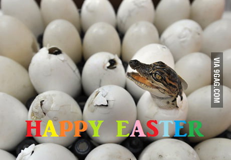 Happy Easter everyone! - 9GAG