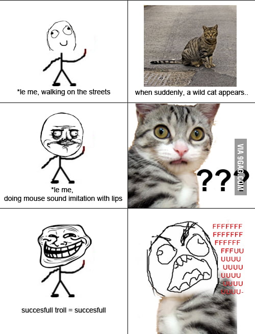 Trolling Cats. I Know You Did This Too! - 9gag