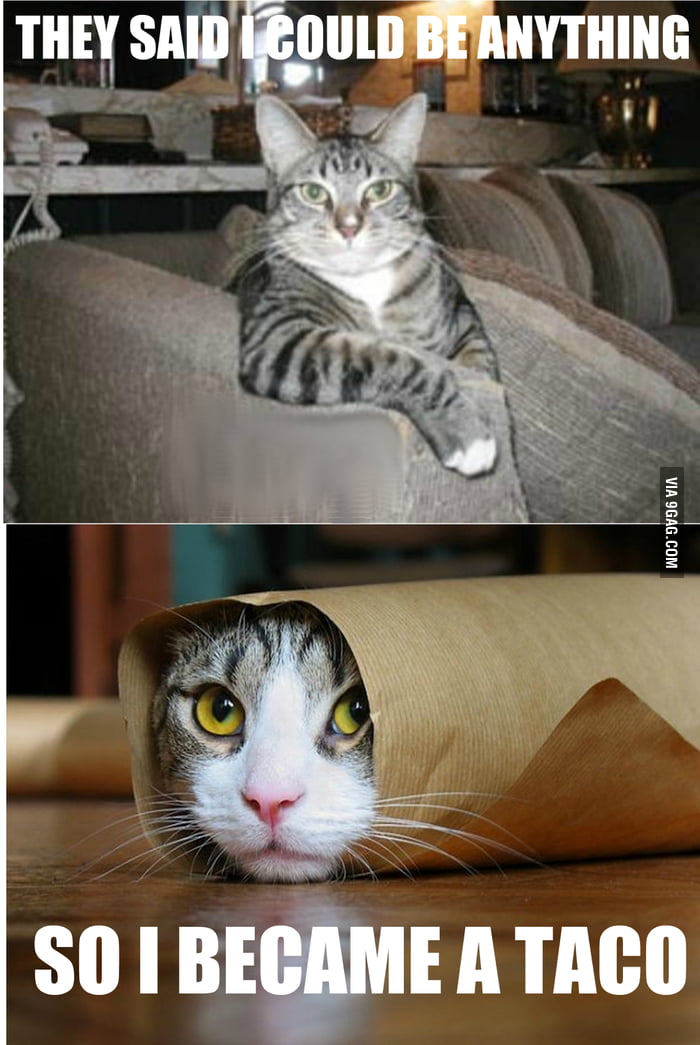 They Said I Could Be Anything...
