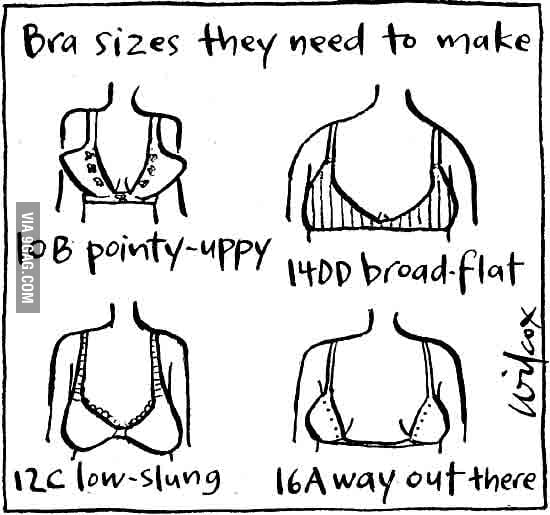Just Bra Sizes 9GAG