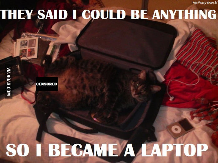 I Became A Laptop 9gag 0941