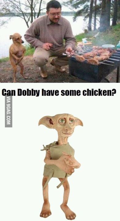 Can Dobby Have Some Chicken 9GAG Can Dobby Have Some Chicken 9GAG