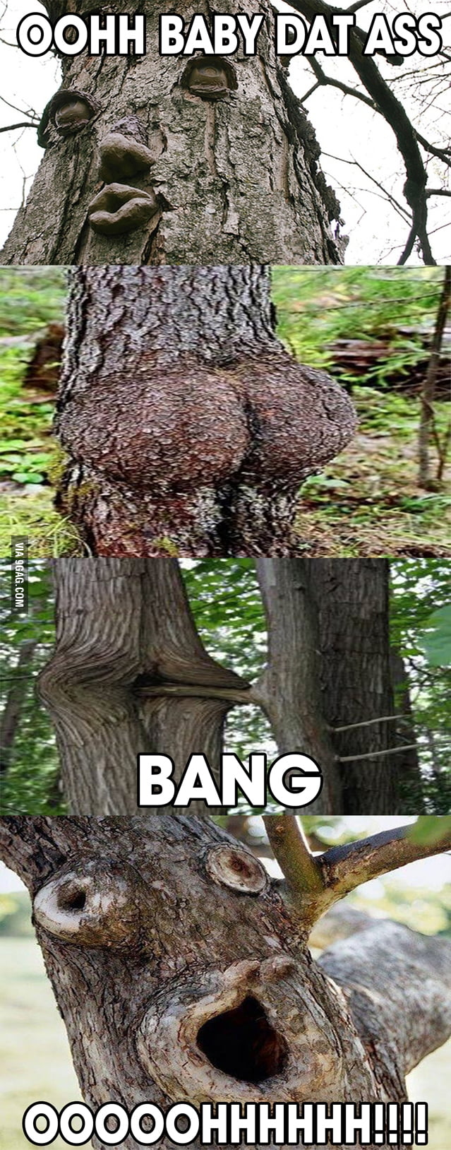 DIRTY TREES 9GAG