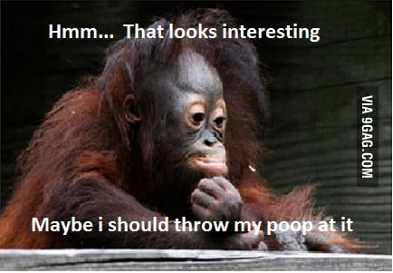 The Ape Thinker throwing poop - 9GAG