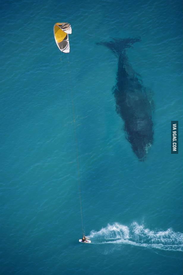 a-jaw-dropping-pic-9gag