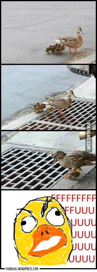 A still feel bad about them .. - 9GAG