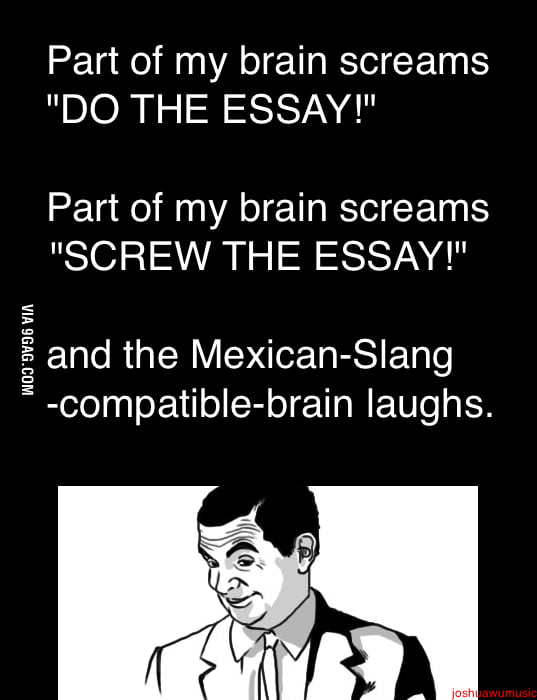 Mexican slang essay