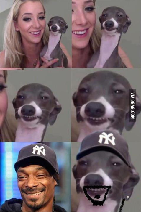 Jenna Marbles Dog Is Snoop Dogg O 9gag