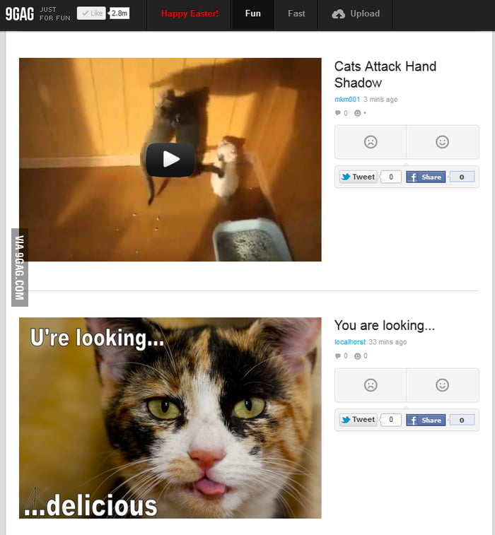 Why cats attack shadows 9GAG