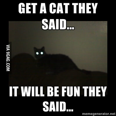 It will be fun they said... - 9GAG