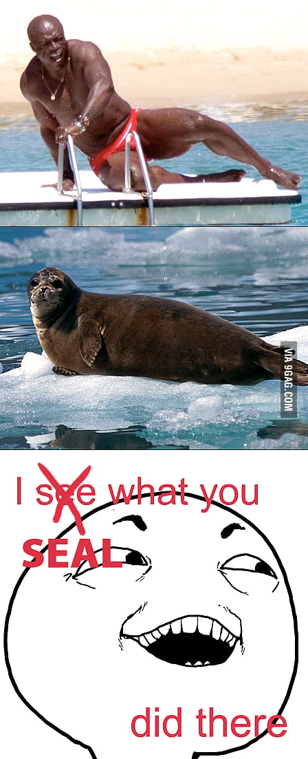 I SEAL what you did there - 9GAG