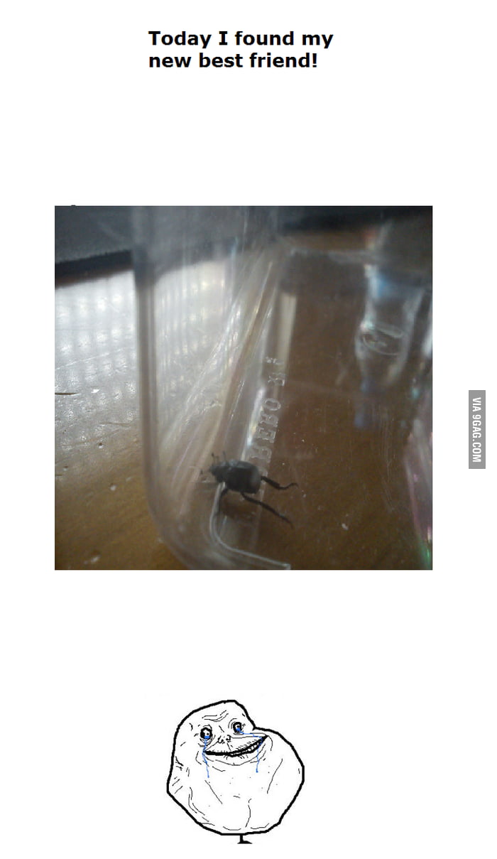 My New Best Friend 9gag