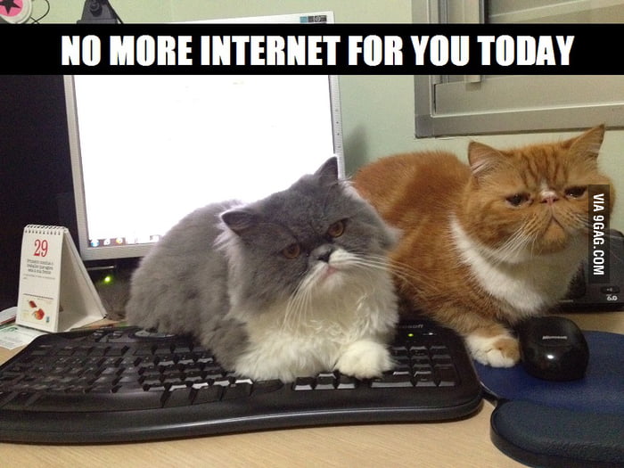 Интернет какой никакой. Никакого интернета. Отключили интернет кошки. На сегодня никакого интернета. Больше никокова интернета.
