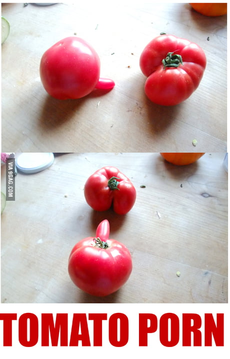 Porn4real - Tomato porn 4 REAL - 9GAG