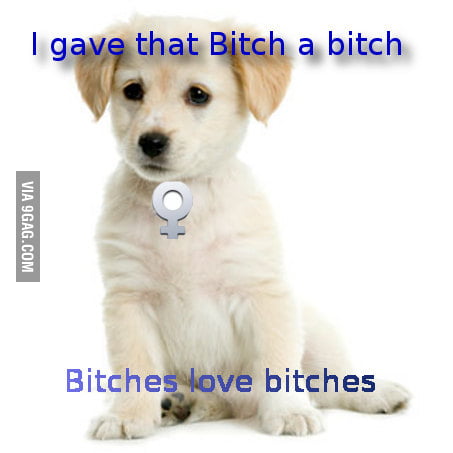 B*tches Love... - 9GAG