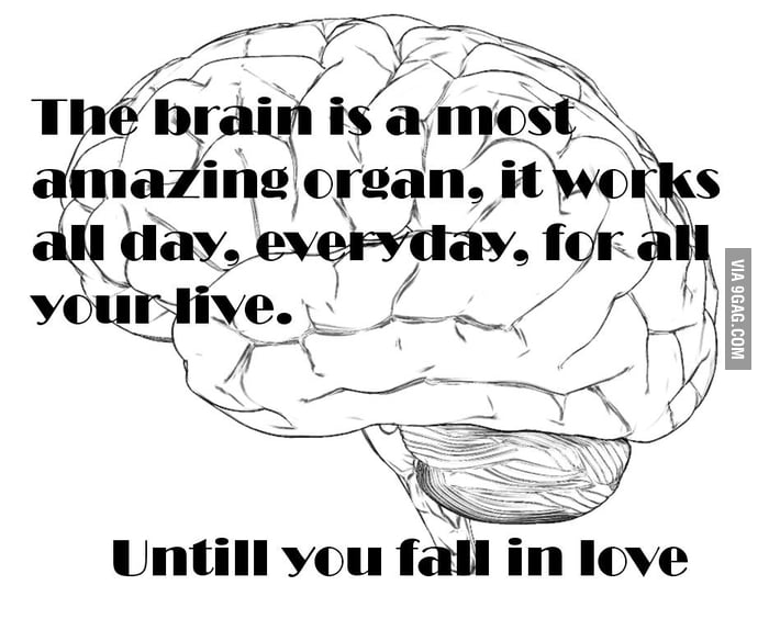 Пила мозг. The Brain is an amazing Organ and the complexities of the way ответы. Your amazing Brain. Pick someone's Brains. No Love have Brain.