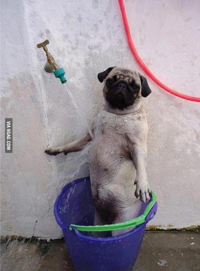 Just Taking A Shower 9gag