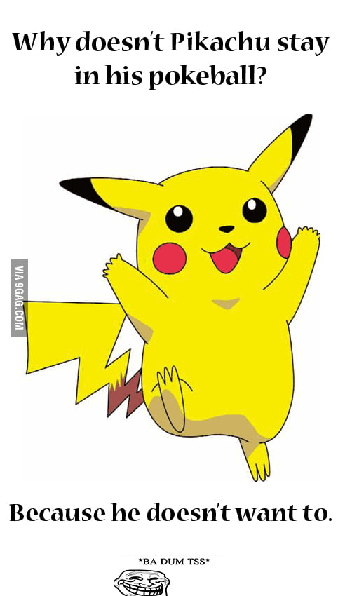 Troll Pika - 9GAG