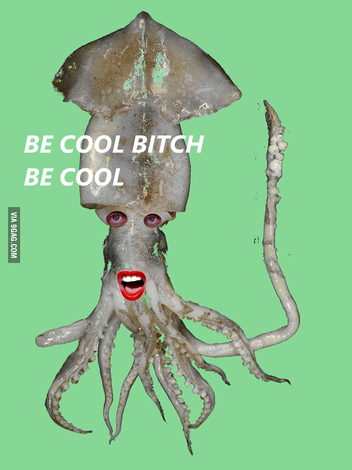 Cool Squid - 9GAG