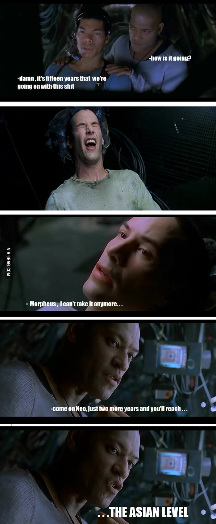 The Ultimate Level 9gag