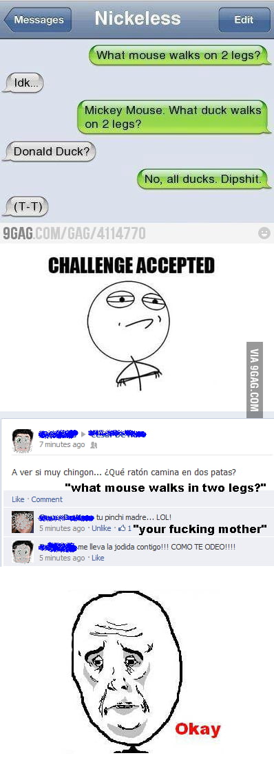 what-mouse-walks-on-2-legs-challanged-accepted