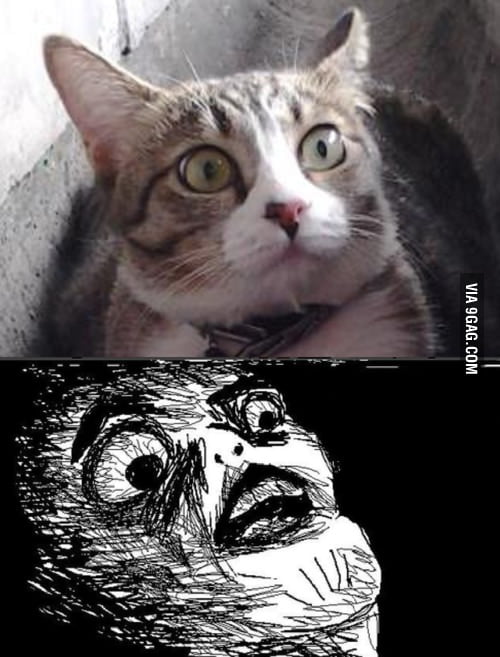 What Kind Sorcery Is This?! - 9gag