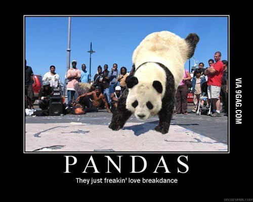 Awesome Panda is awesome ! - 9GAG