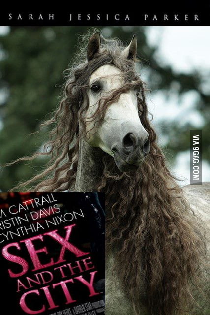 Sex And The Photoshop 9gag 5287