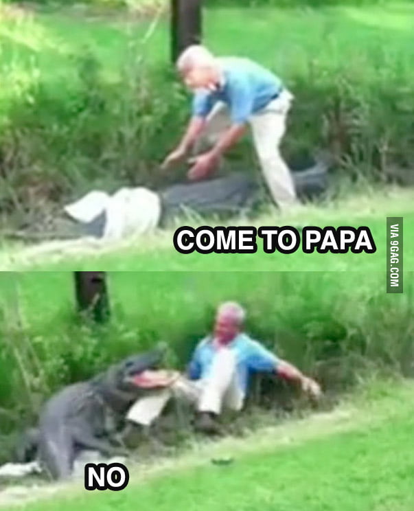Come to papa! - 9GAG