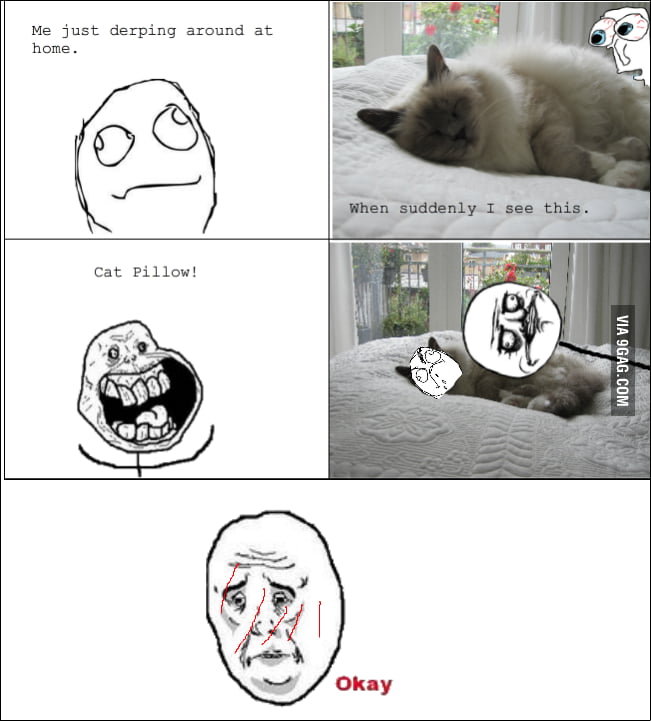 Everytime I see my cat... - 9GAG