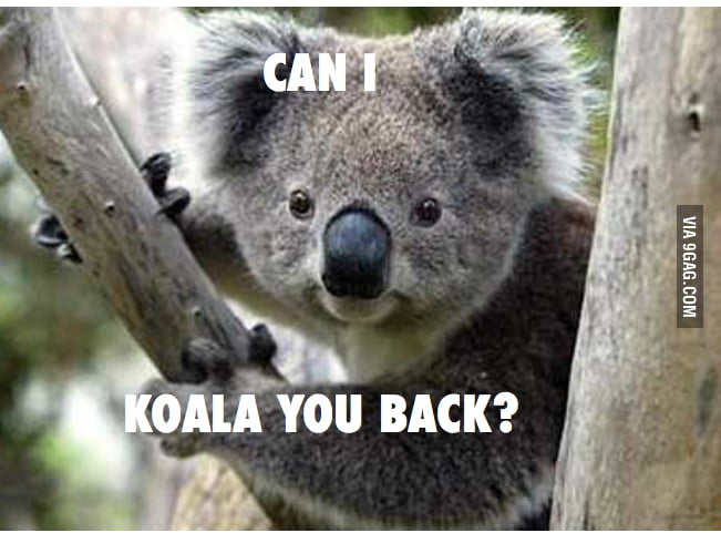 Pun Koala - 9GAG